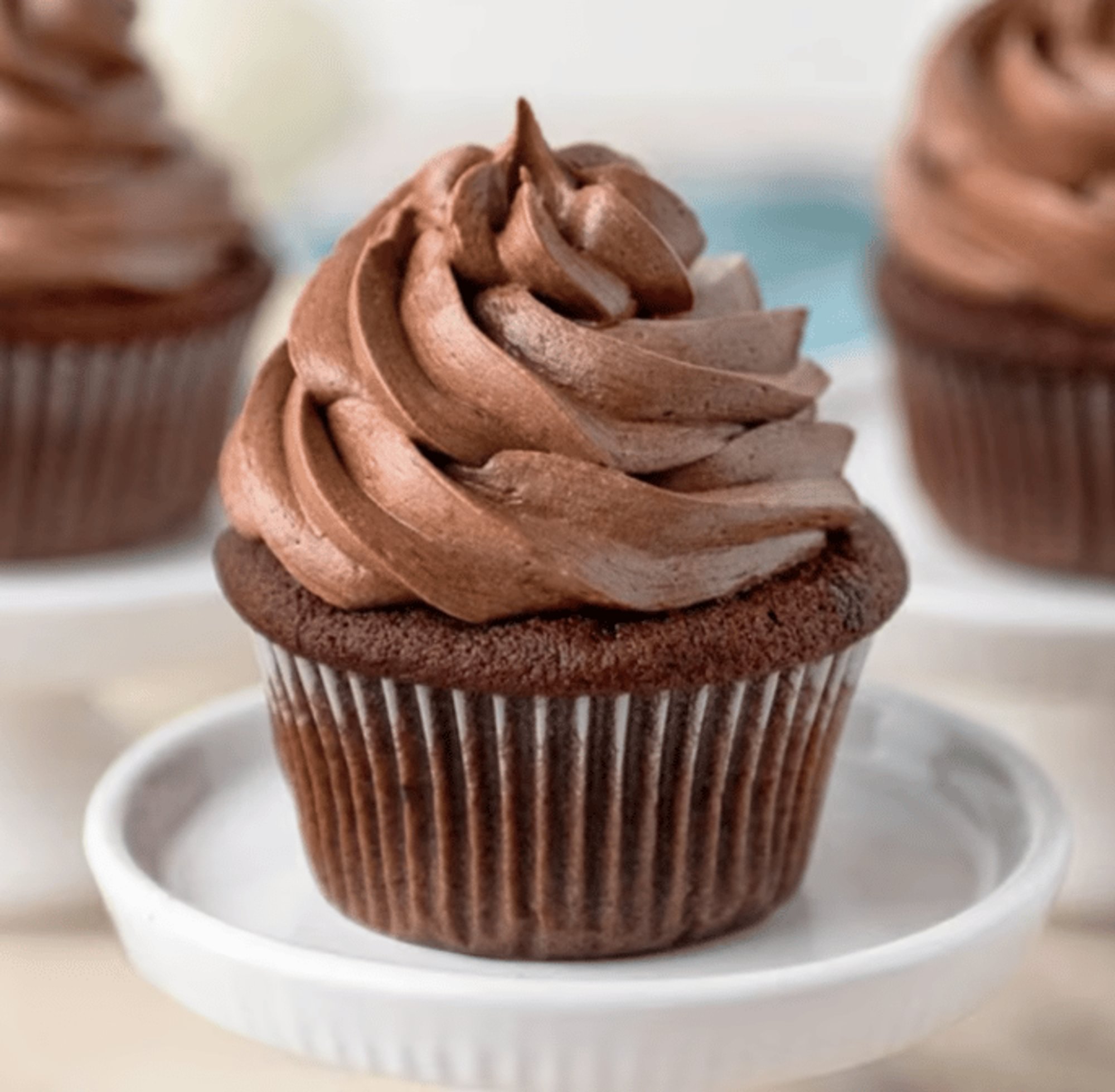 Chocolate Chocolate Cupcake