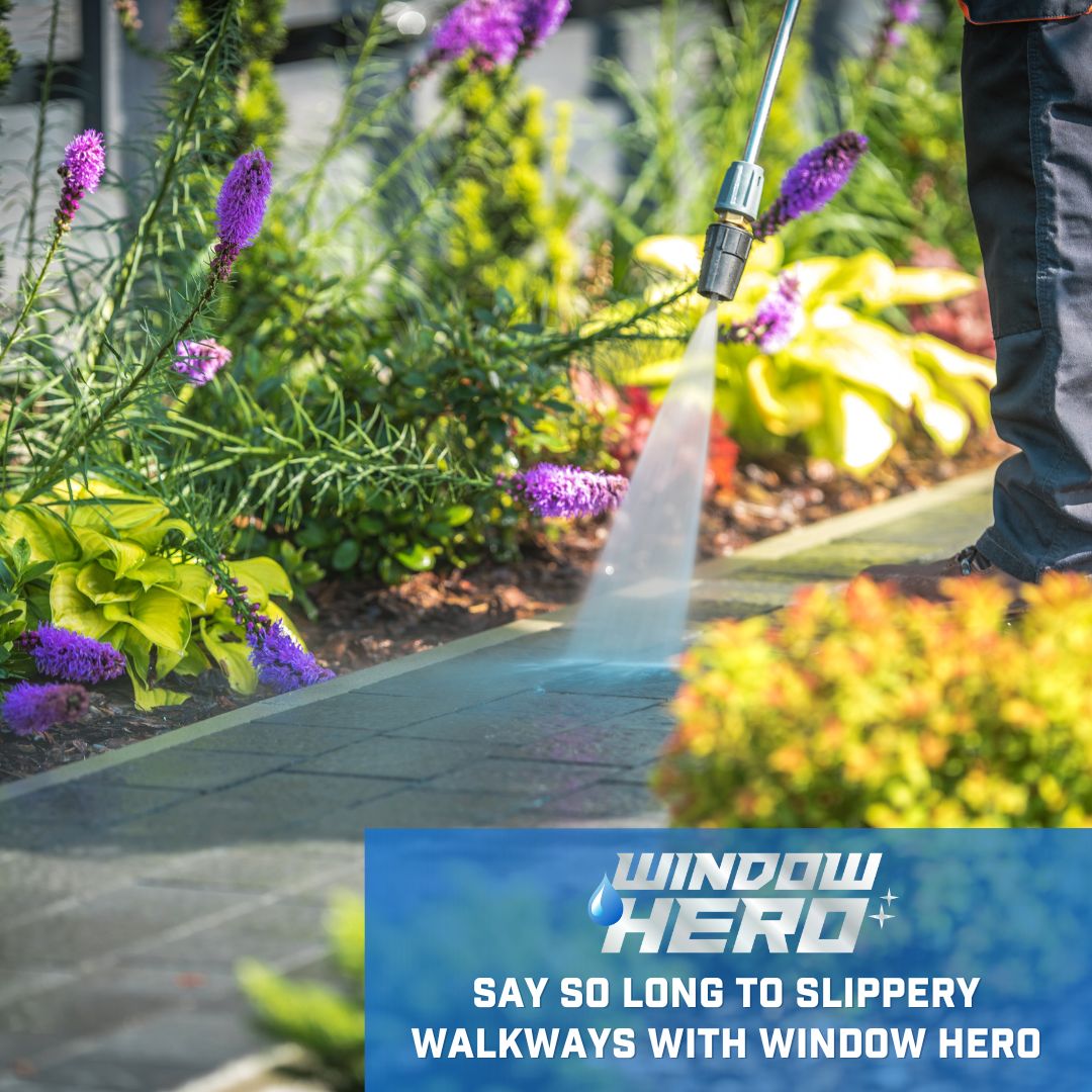 Window Hero Charlotte Image