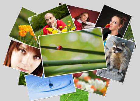 Gallery thumbnail