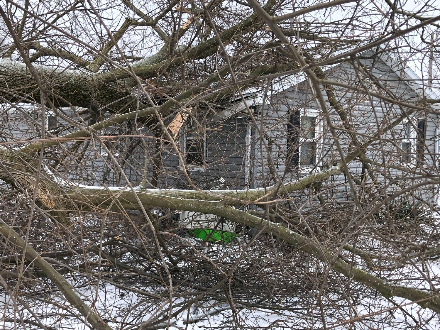 Results Roofing Image