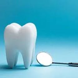Bild der Zahnarztpraxis Andreas Faßhauer