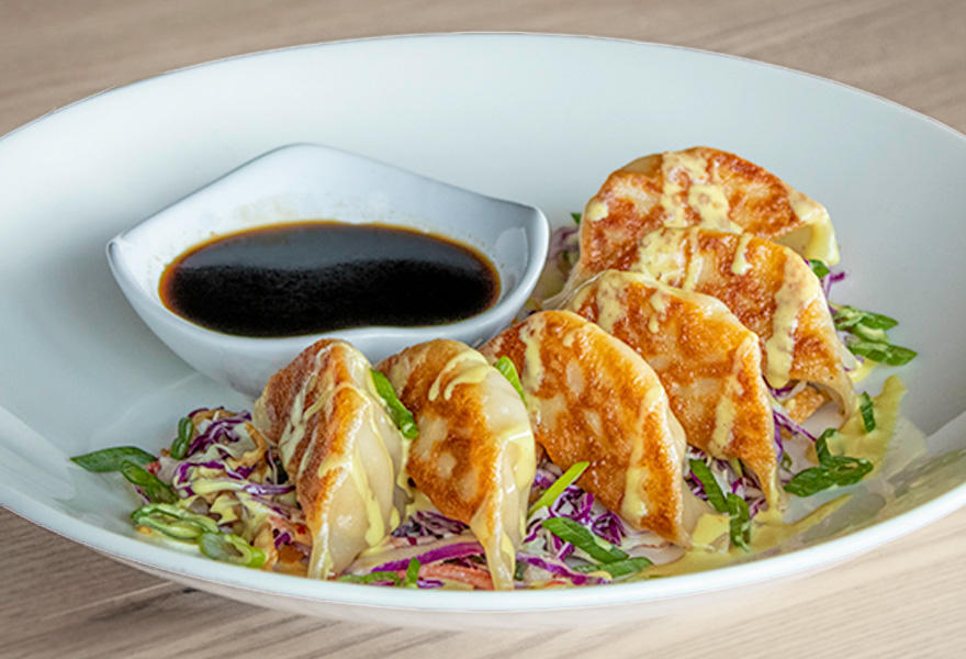 73 CHICKEN POTSTICKERS