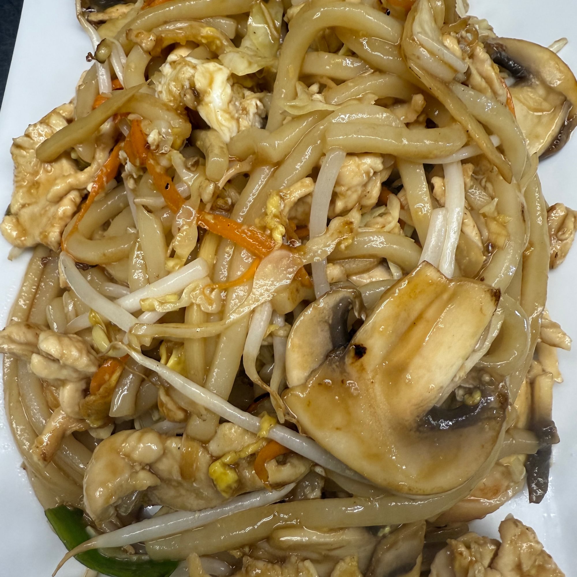 Udon Noodles Stir fly