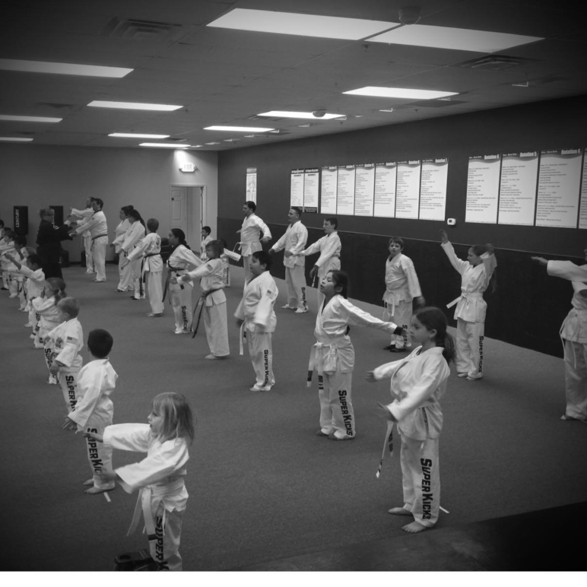 Super Kicks Karate Leesburg Photo