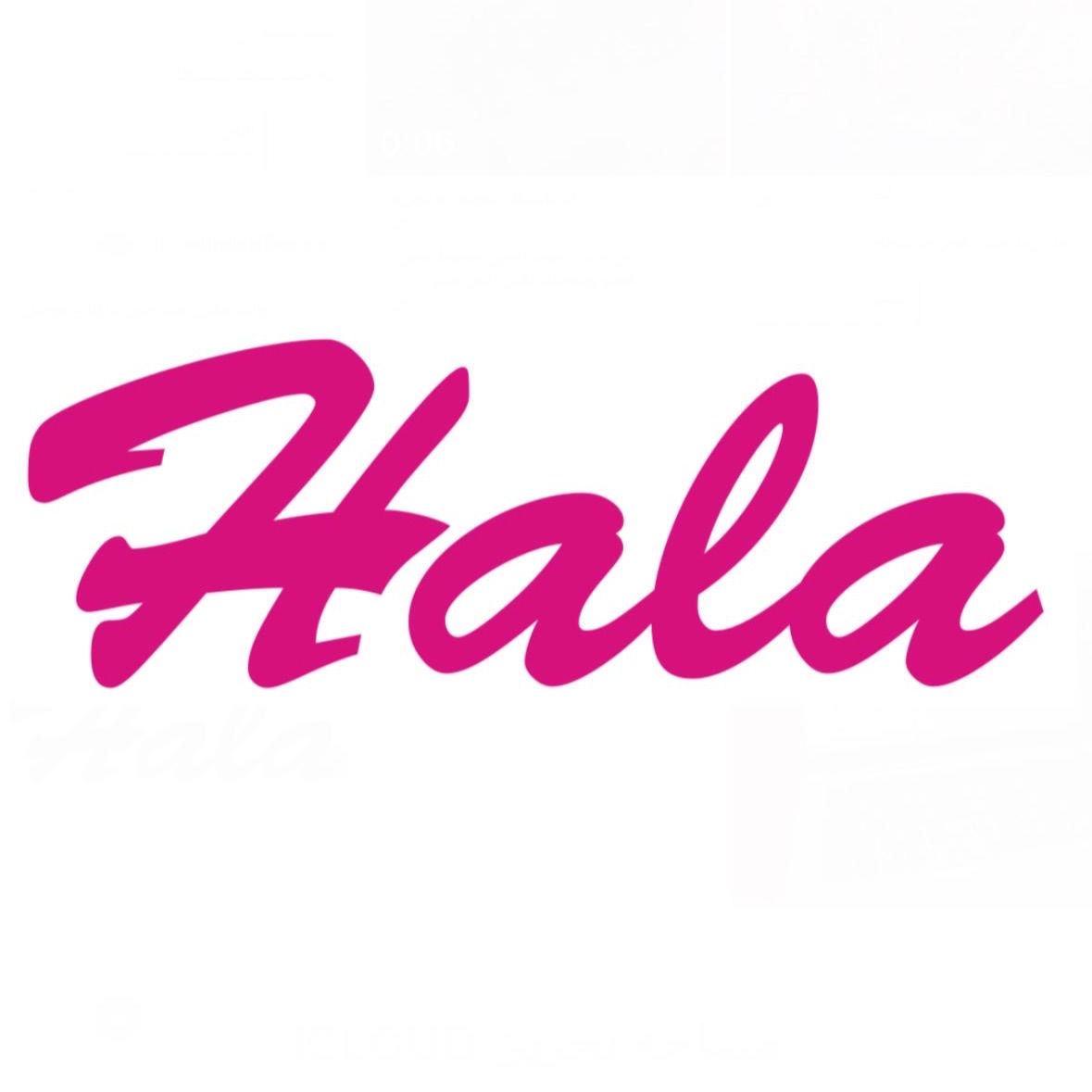 Logo von Hala Änderungsschneiderei
