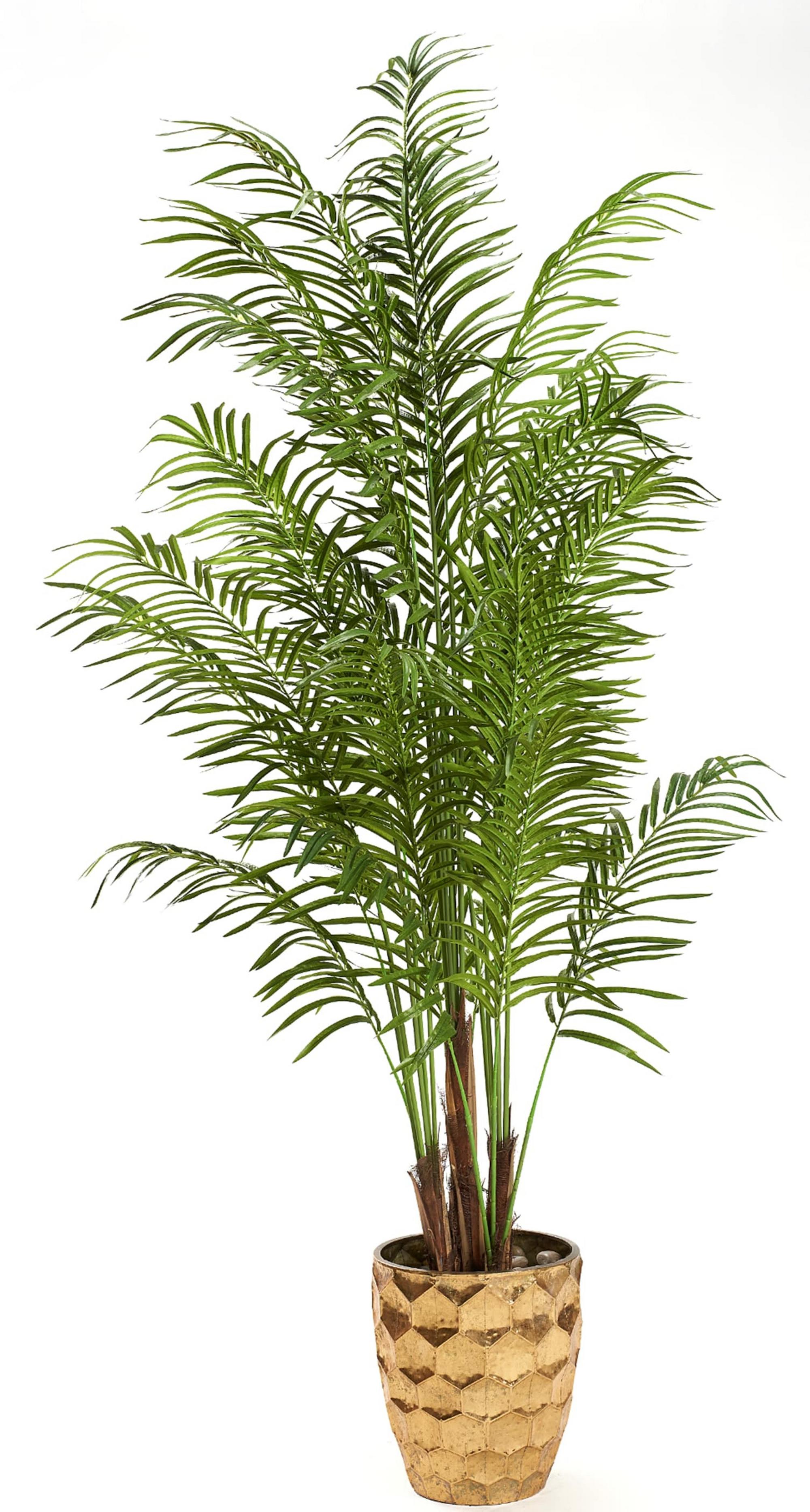 9' Areca Palm in Leonine Planter