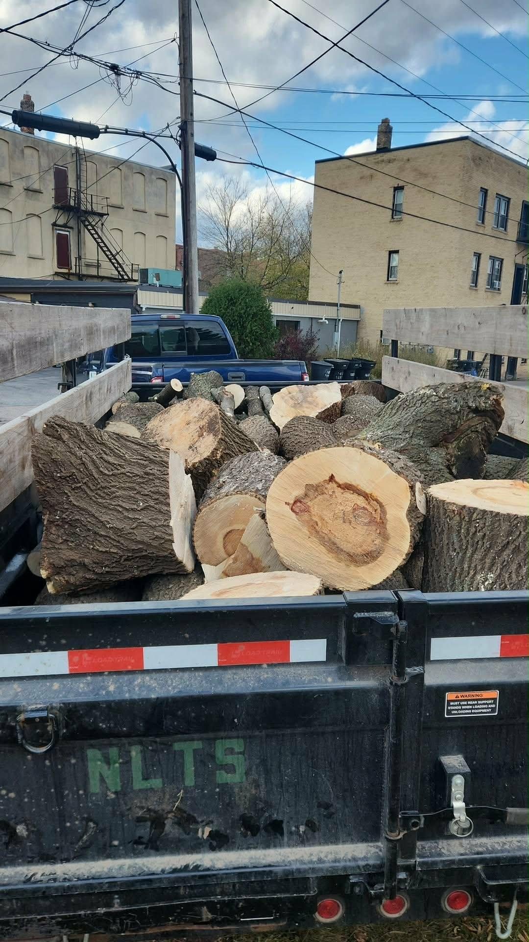 Northern Lakes Tree Service Image