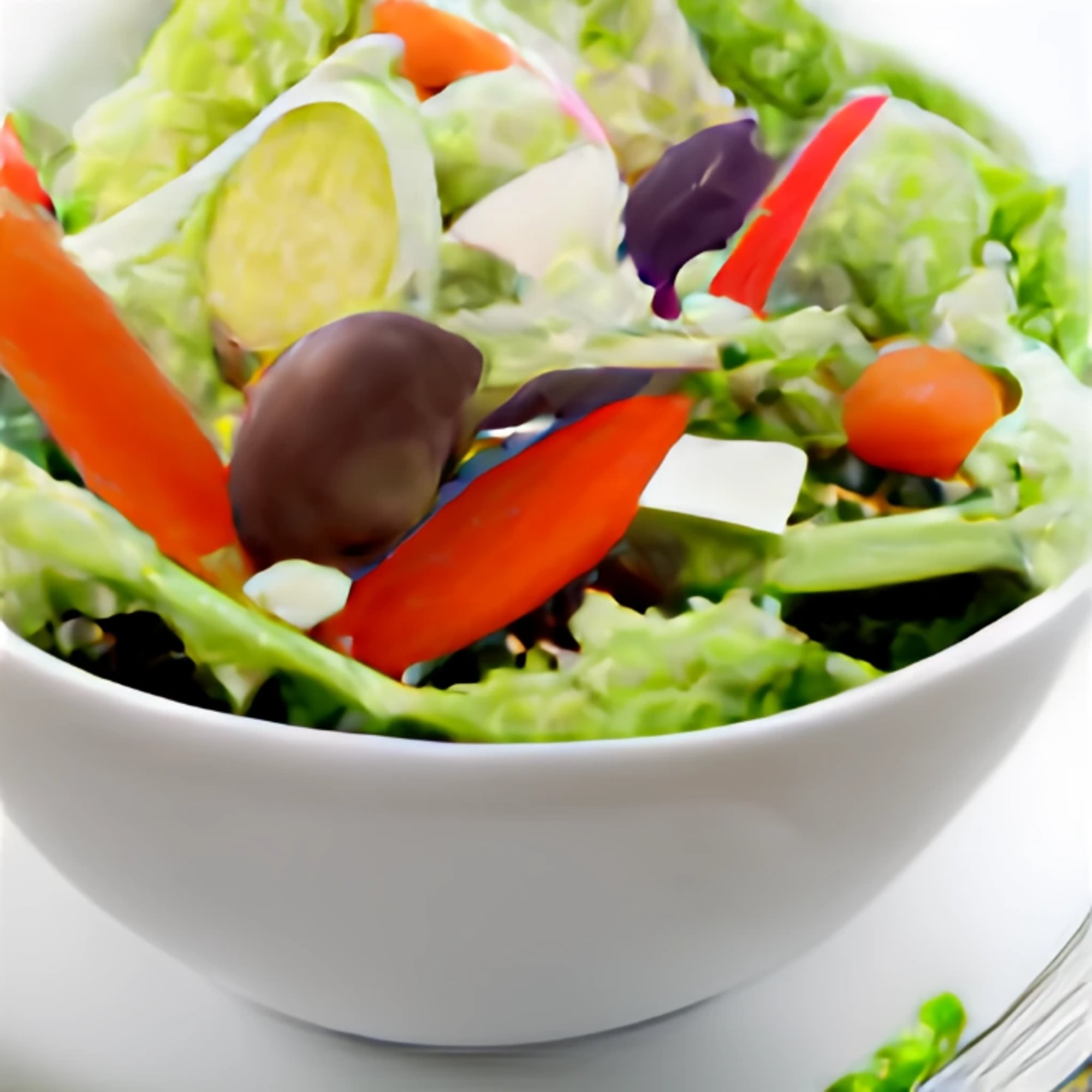 Tossed Salad (No Pita)