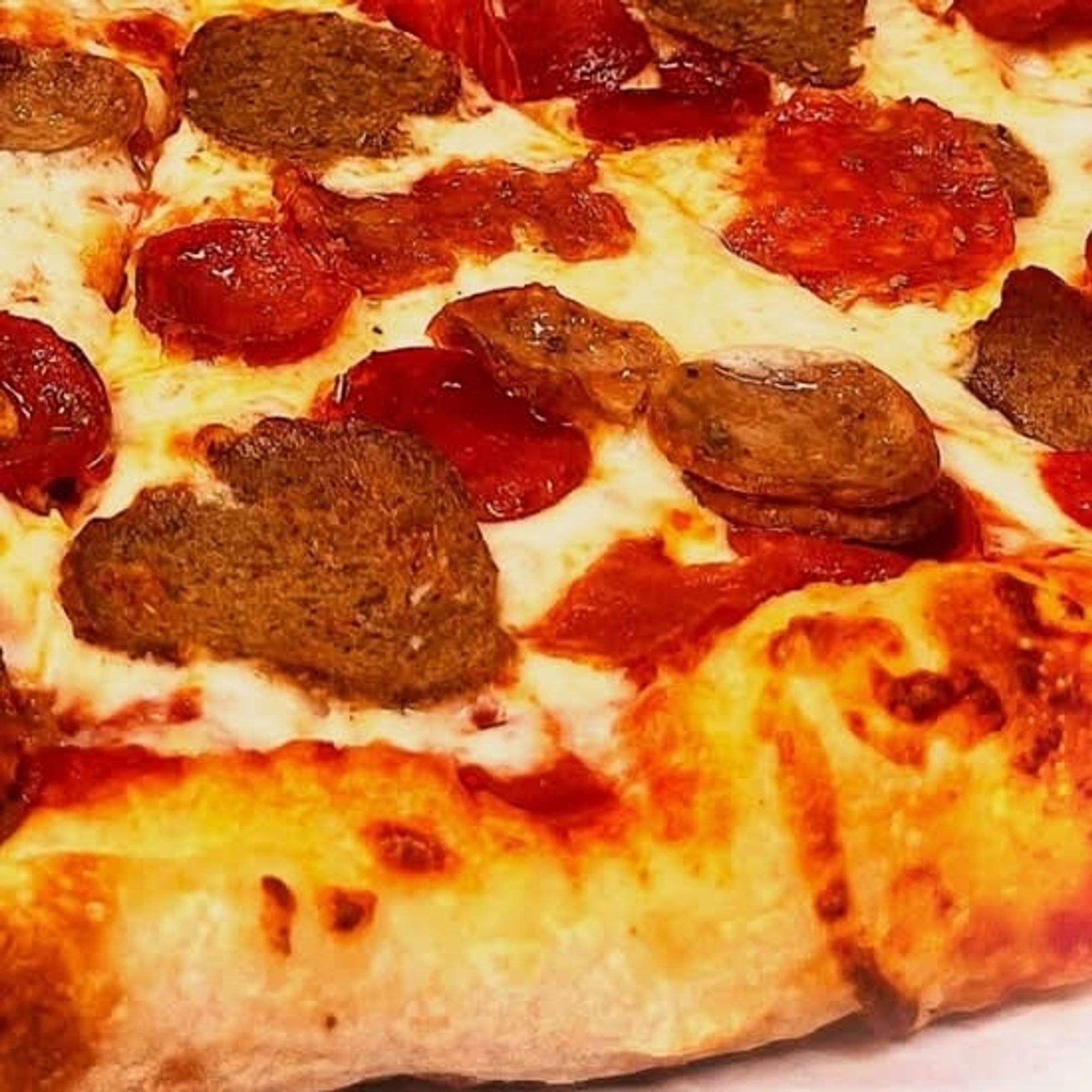 Regular Slice Goombah