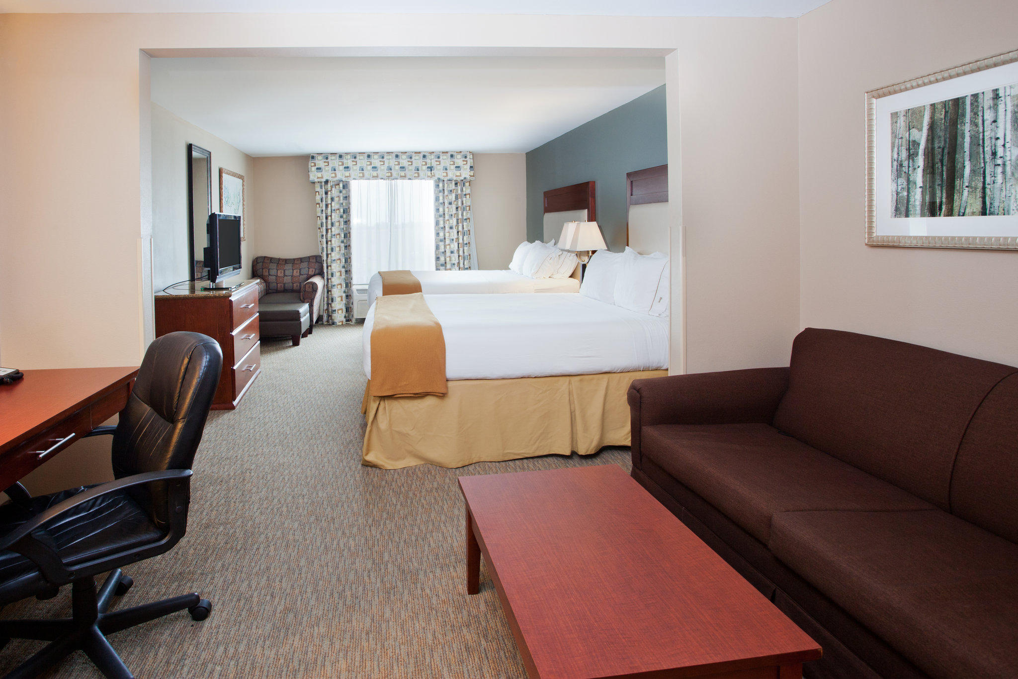 Holiday Inn Express & Suites Baton Rouge East Photo