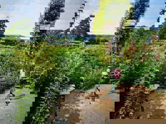Gallery thumbnail