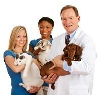 Images Maumee Bay Veterinary Hospital