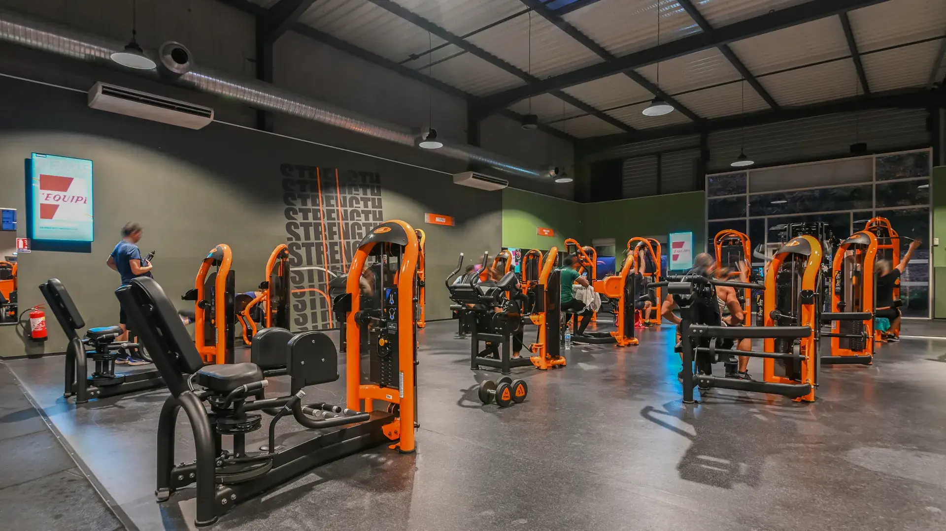 Miniature de la galerie