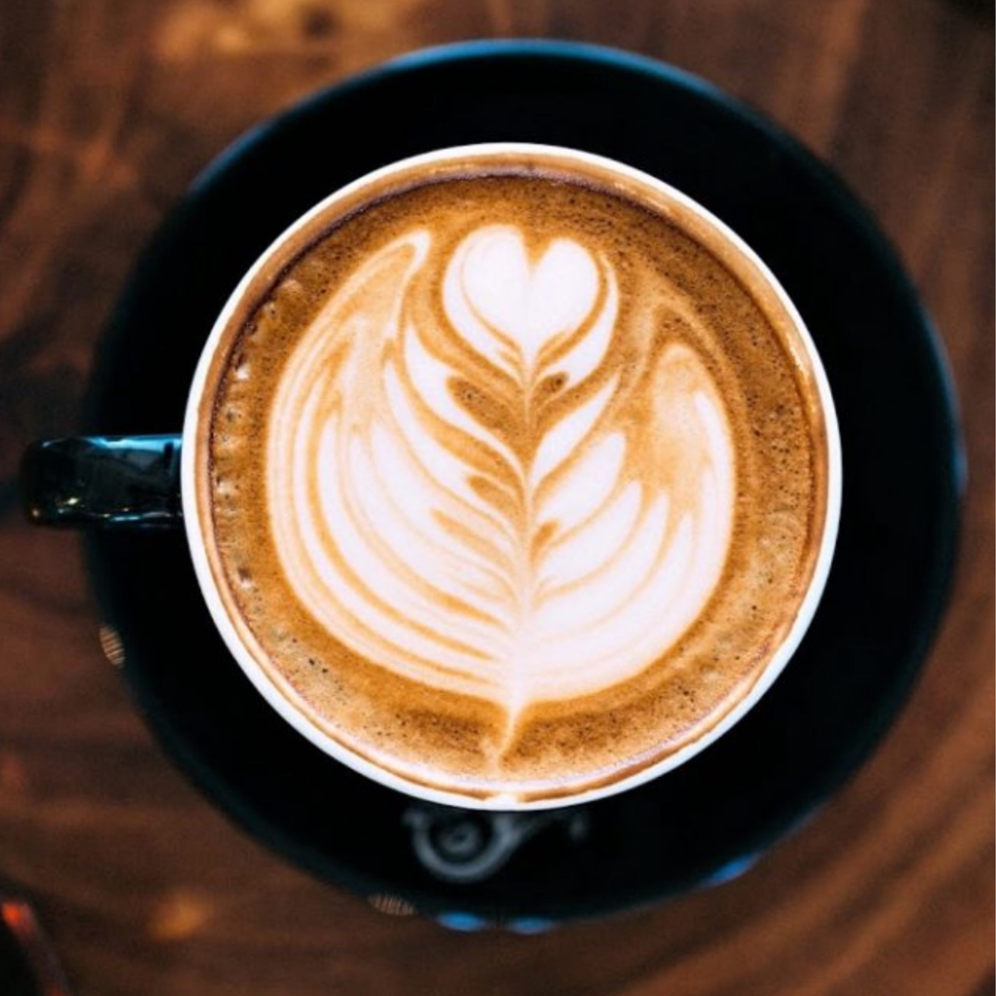Hollander Dark Chocolate Mocha
