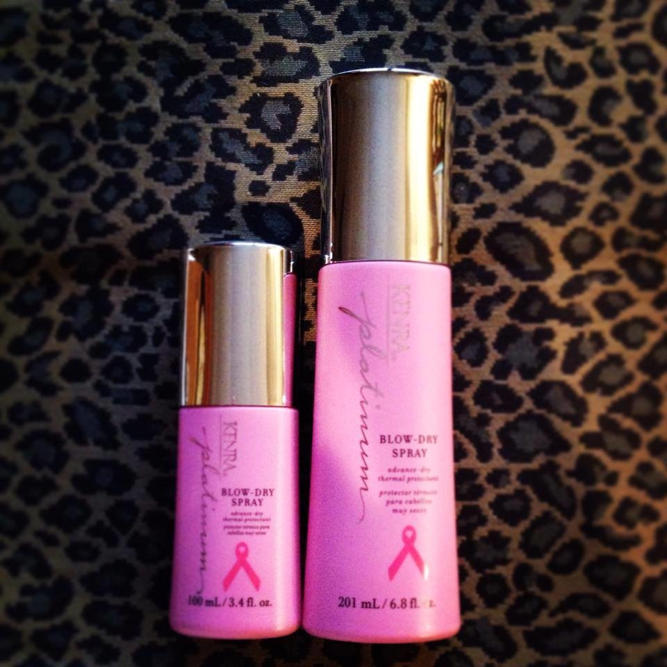 Ray of Light "The Art of Hair & Color" Image