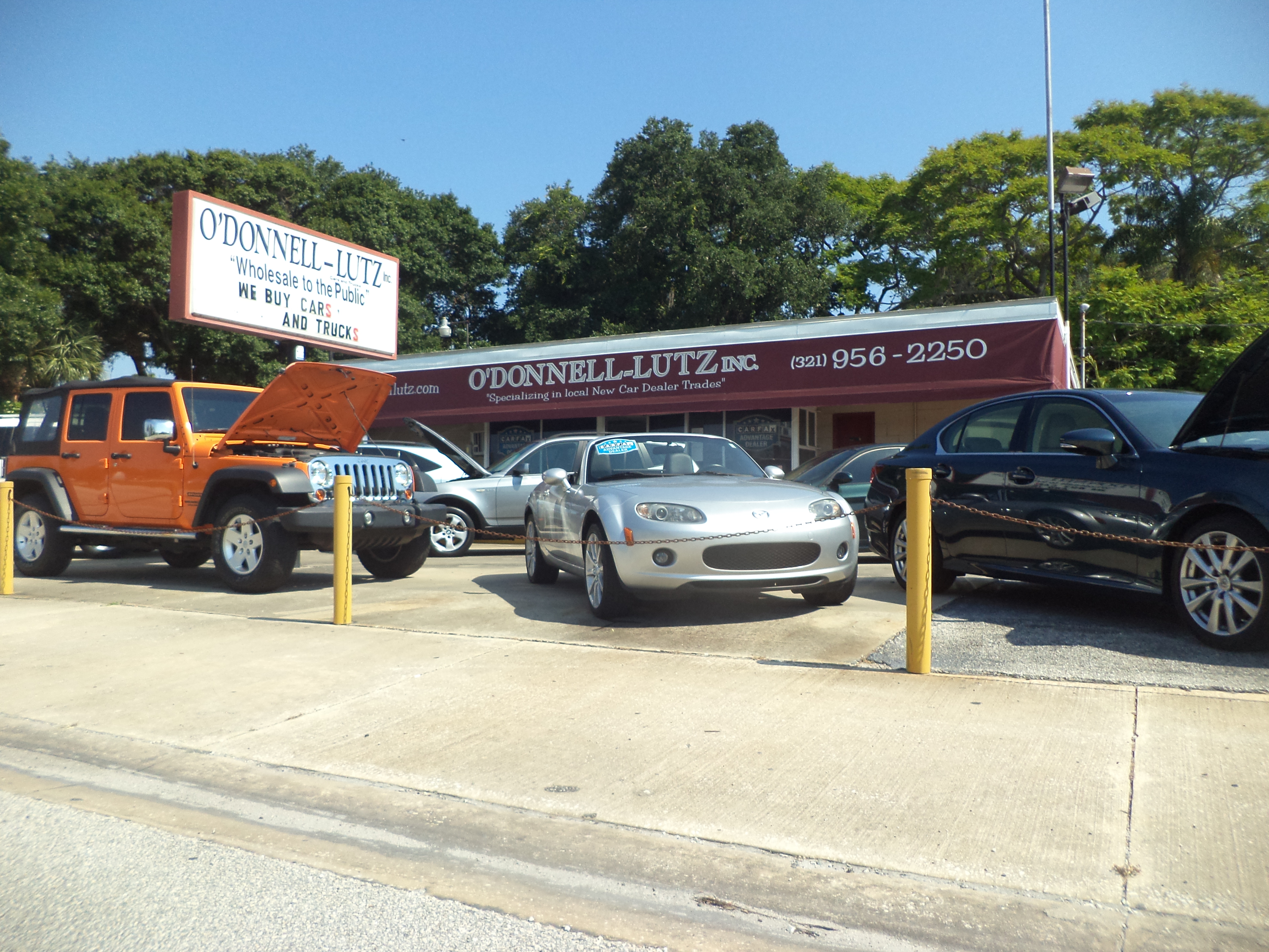 O'Donnell-Lutz Used Cars & Trucks of Melbourne, Palm Bay, and Central Florida Photo