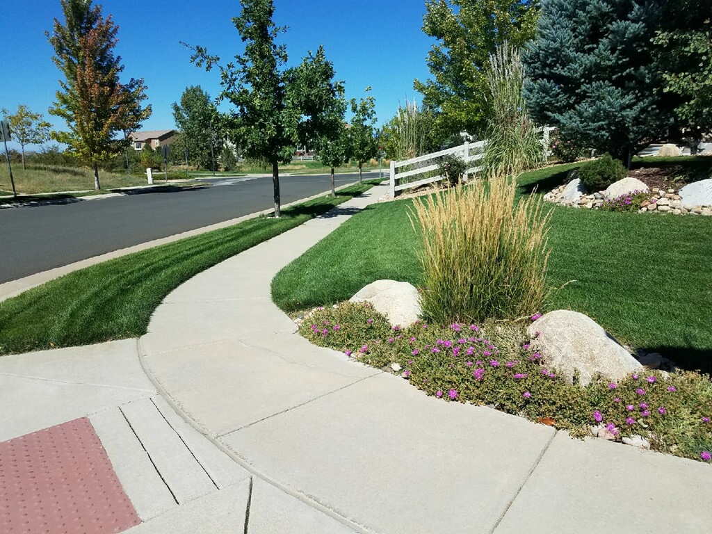 Lawn Doctor - Lakewood Image