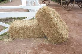 Bale Straw