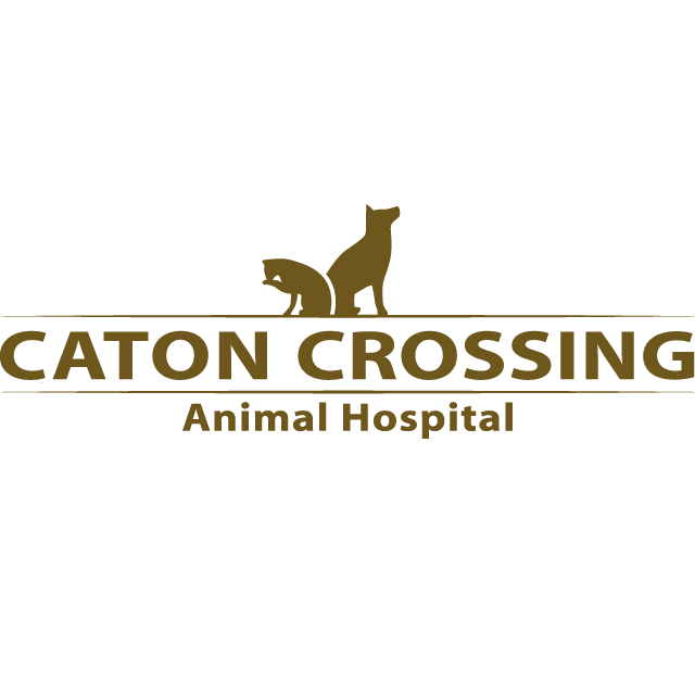 Caton Crossing Animal Hospital