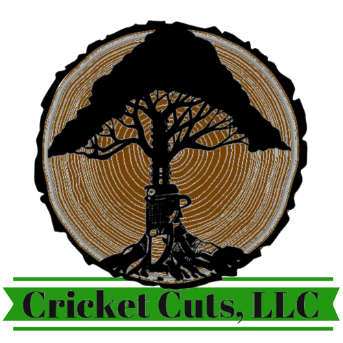 Cricket Cuts, LLC