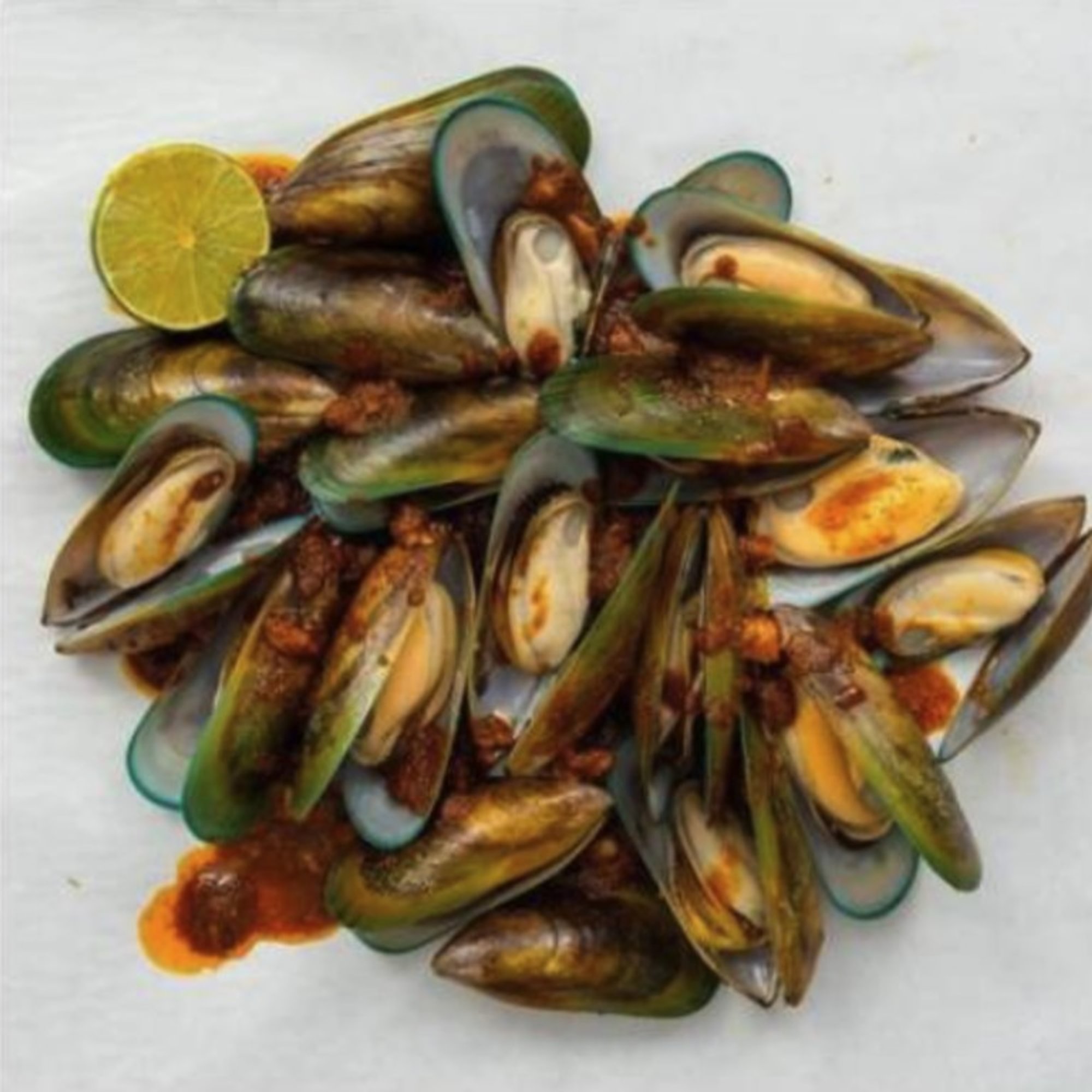 Black Mussel