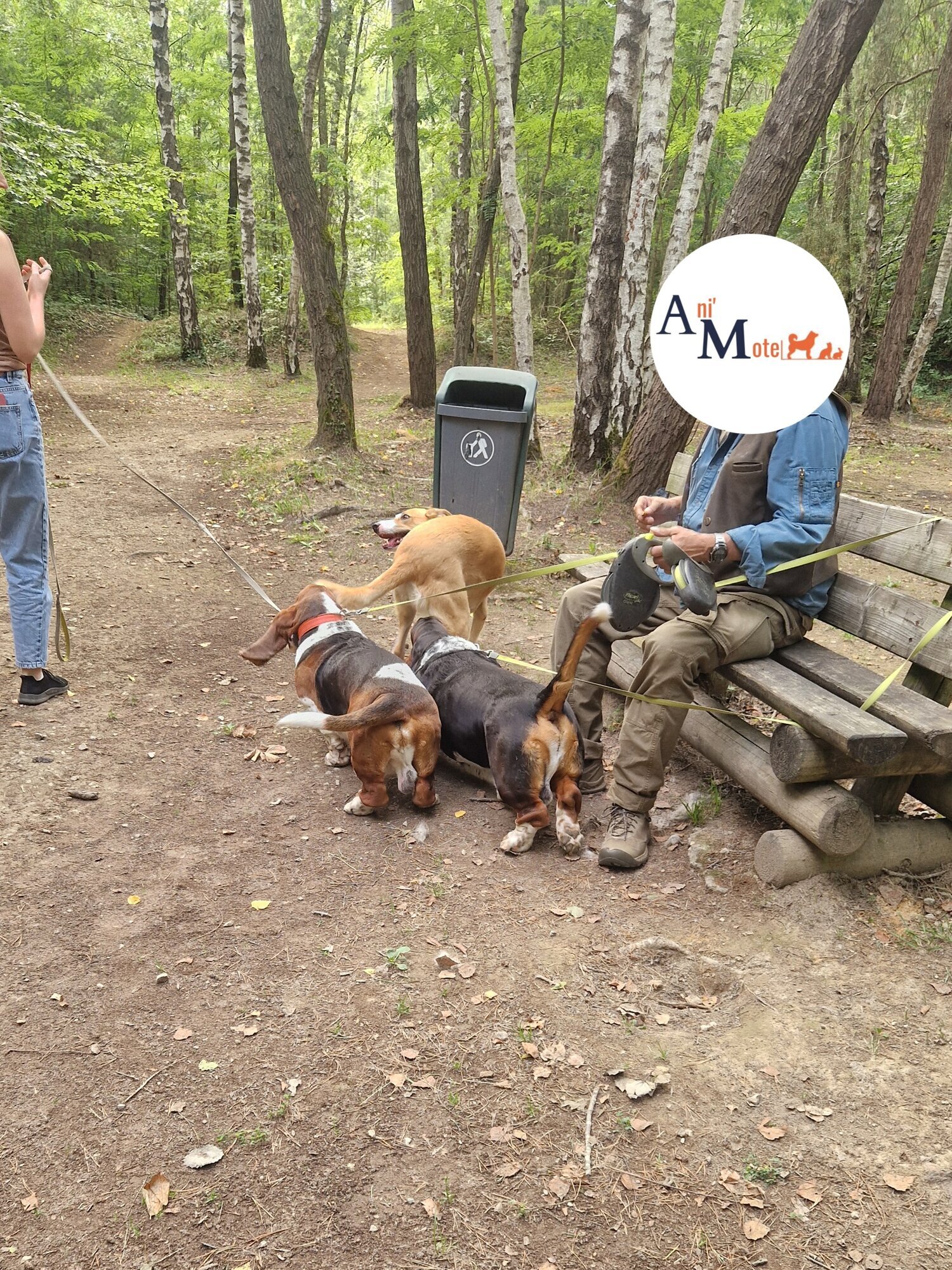 Miniature de la galerie