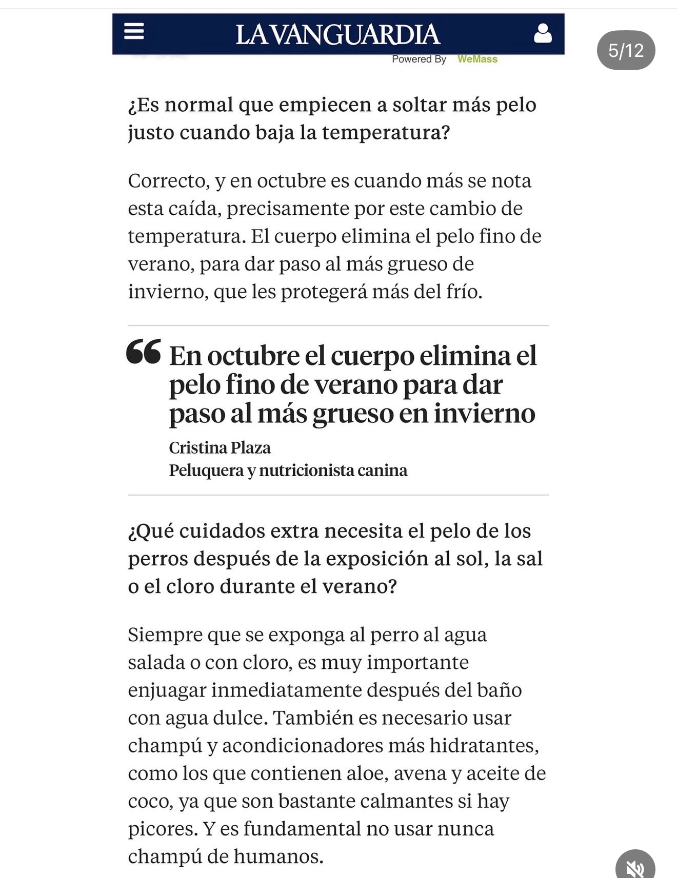 Galería en miniatura