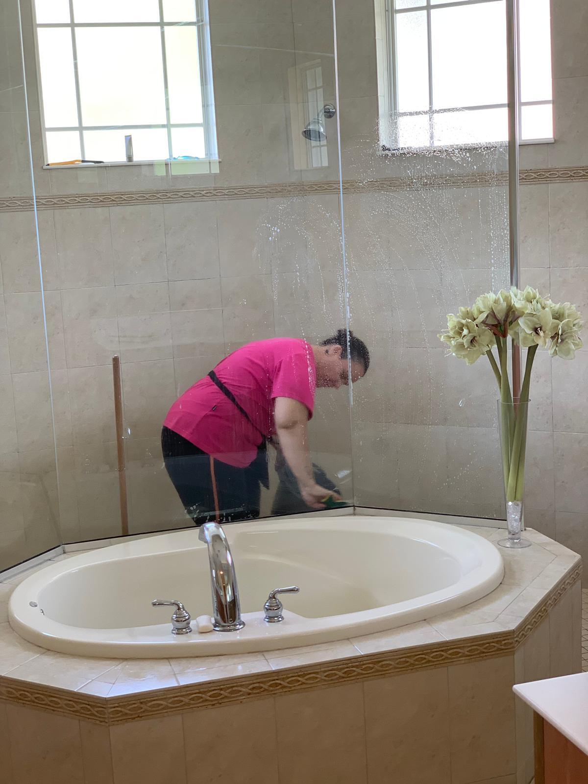 Manatee Ladies Cleaning Image