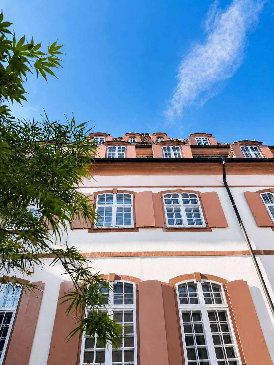 Galerie-Thumbnail