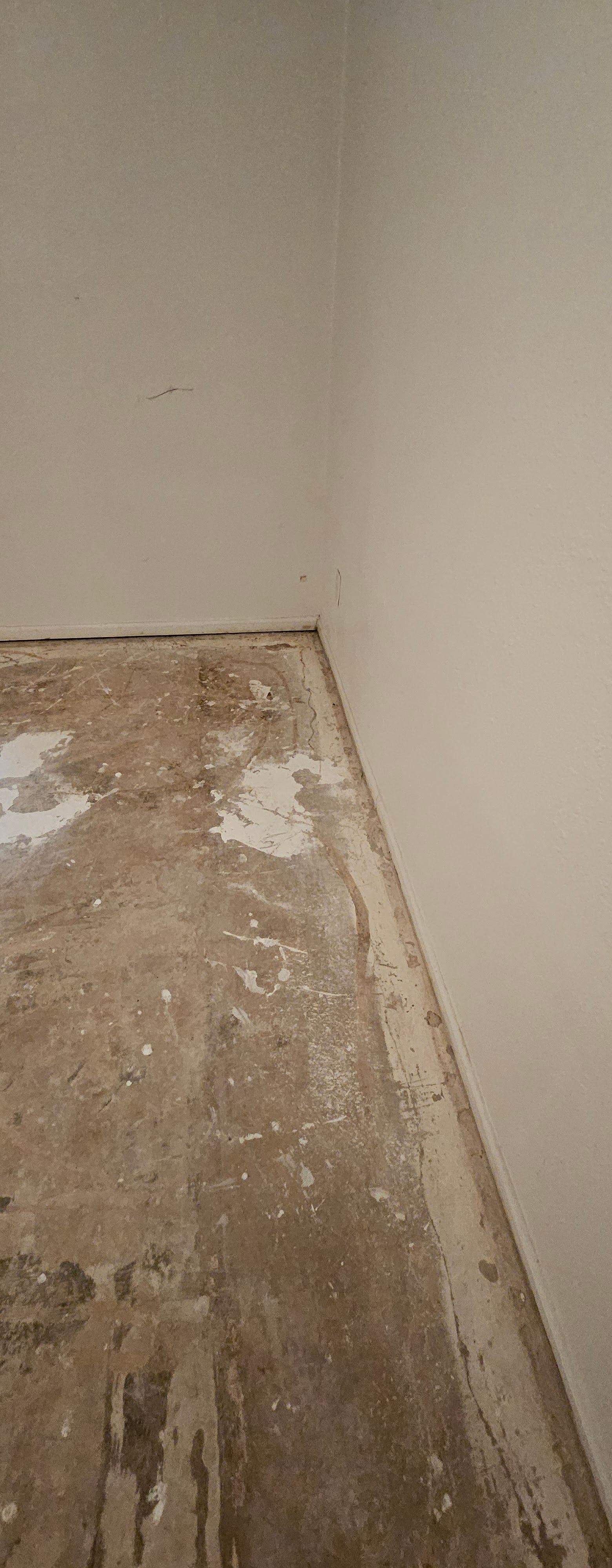 True North Restoration of Denver Image