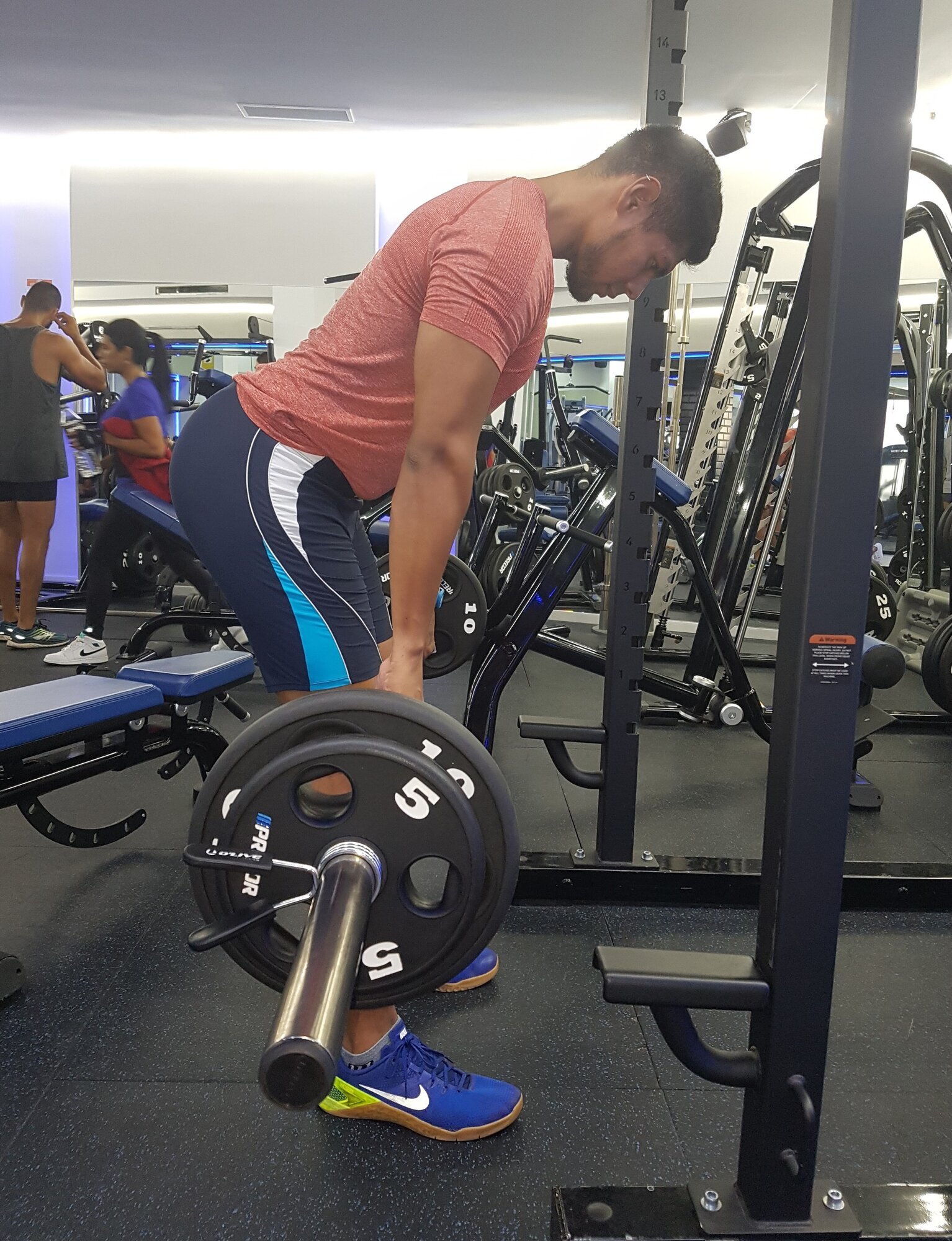 Galería en miniatura