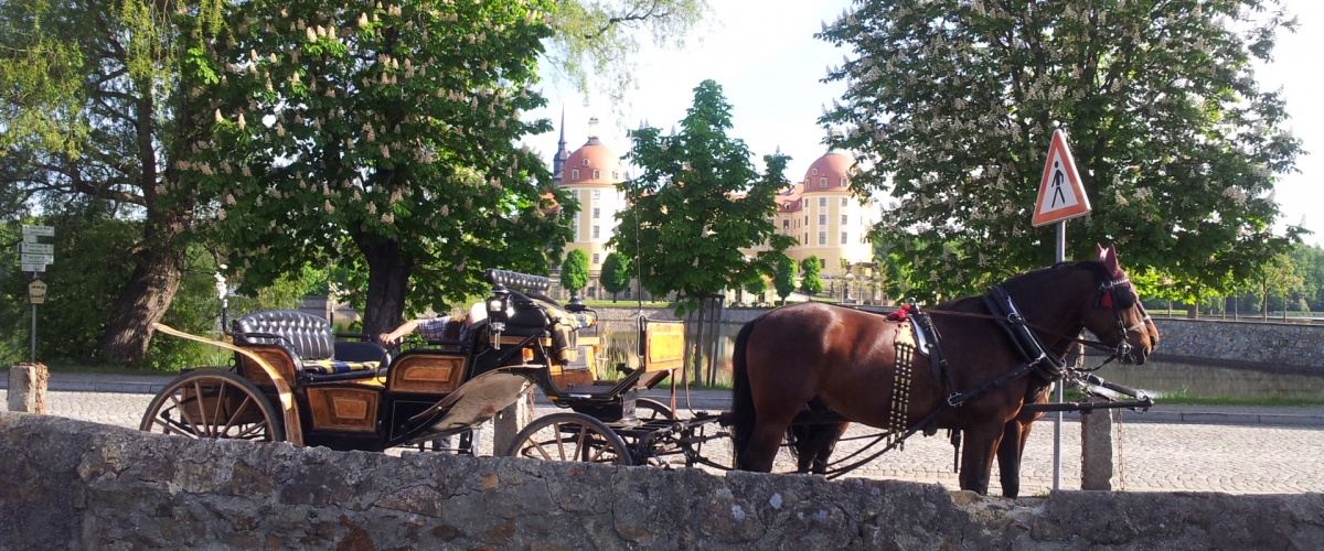 Bild der Schloss-Teichhaus