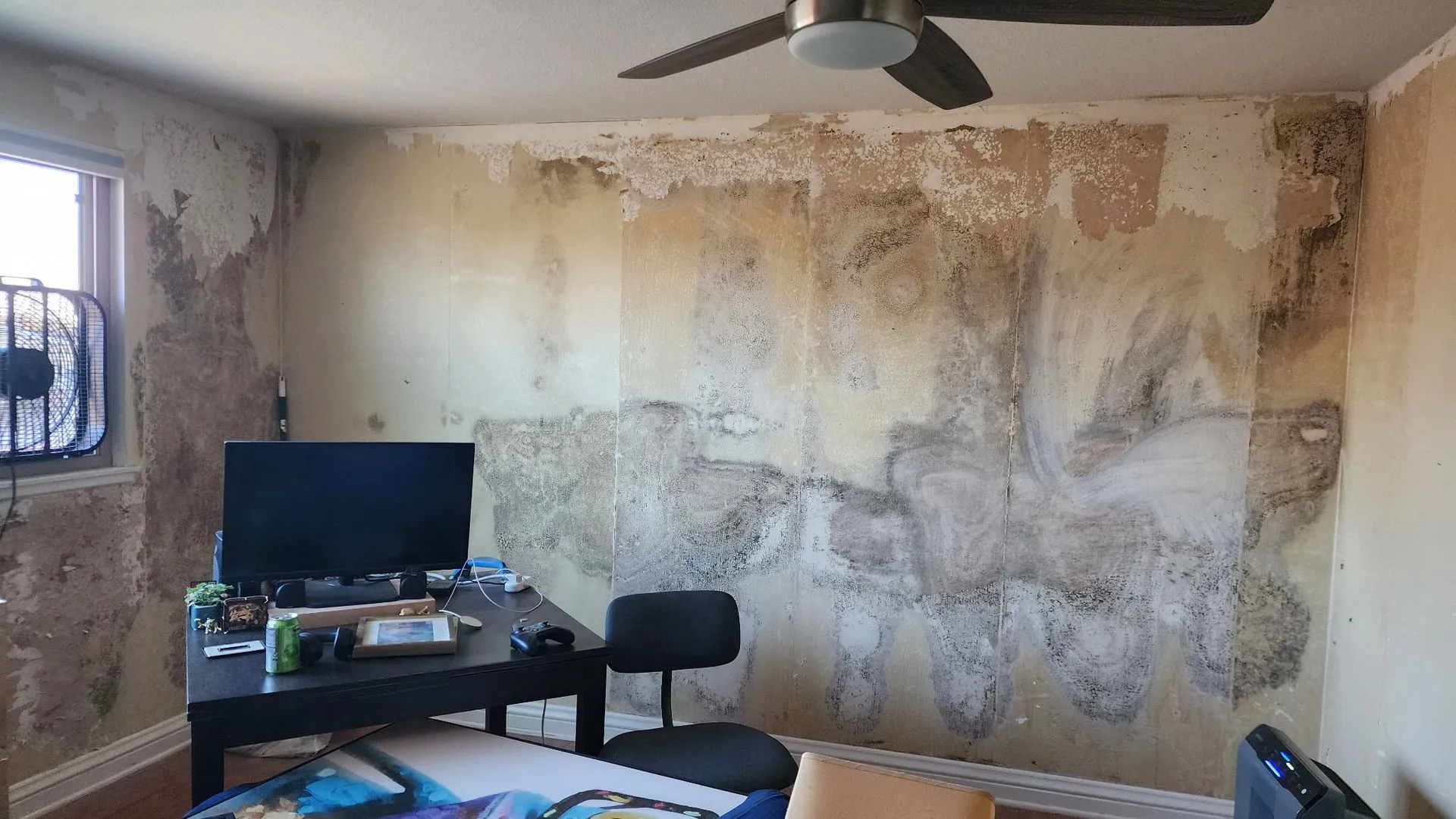 Mold Remediation