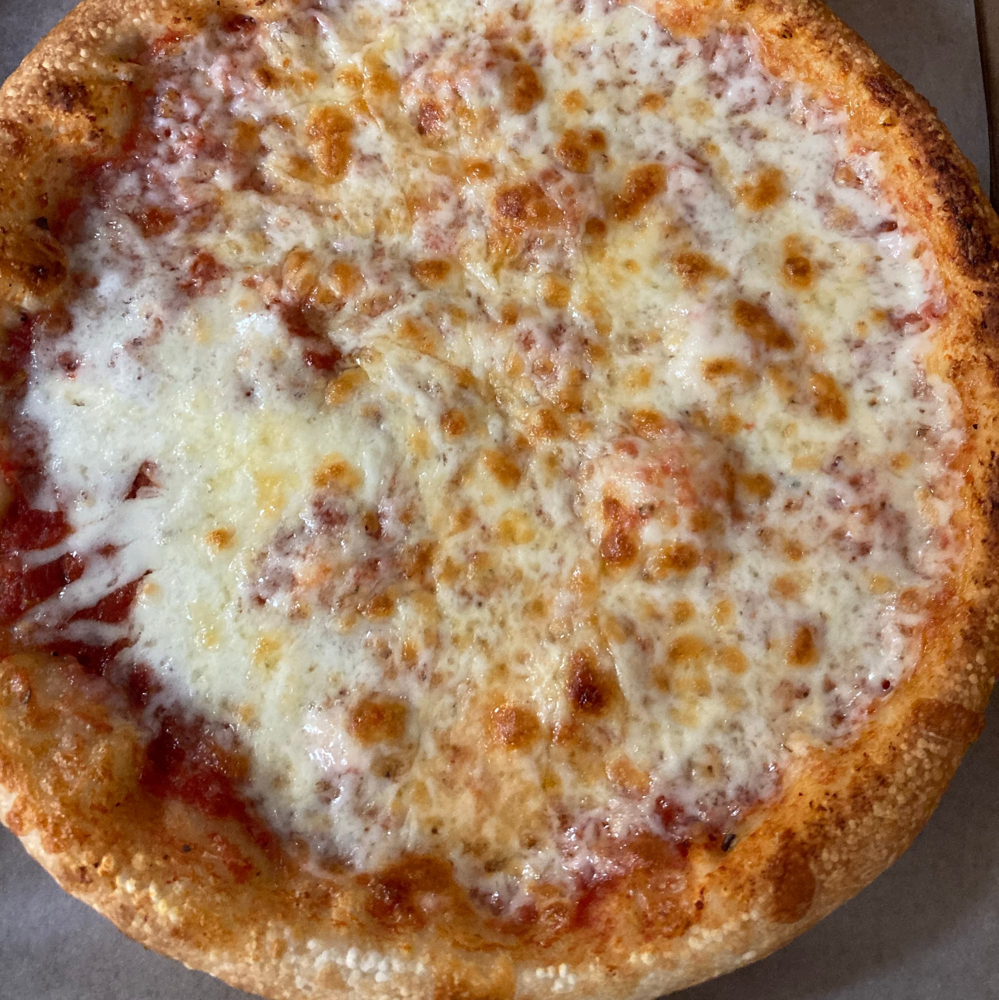 Large Plain Cheese