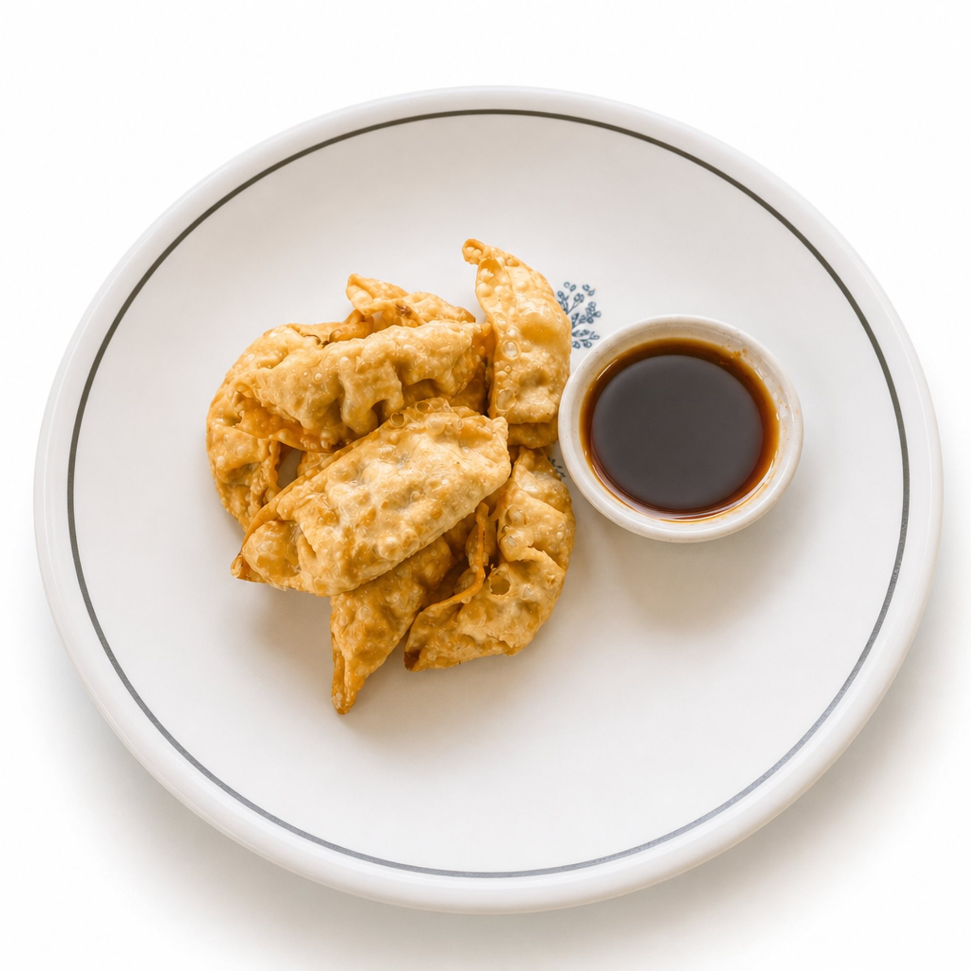 Chicken Dumplings