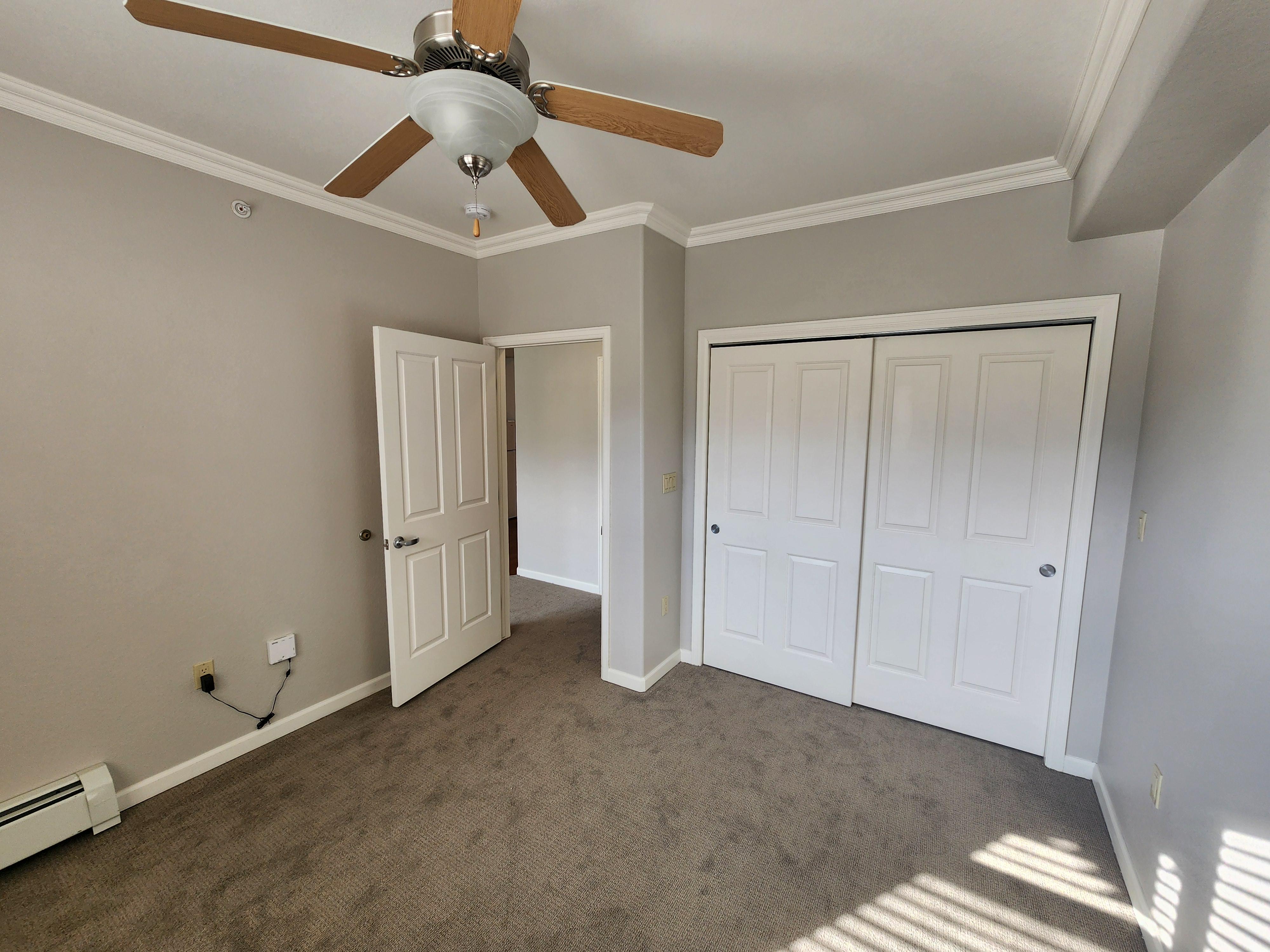 Wild Fox Painting of Highlands Ranch Image