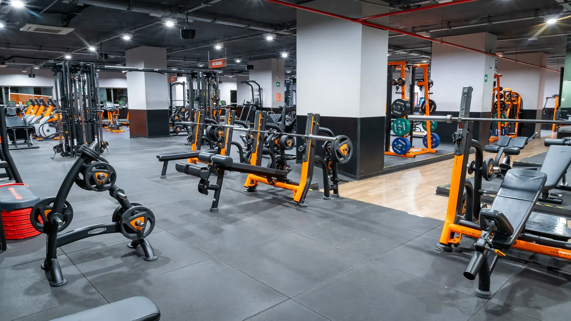 Galería en miniatura