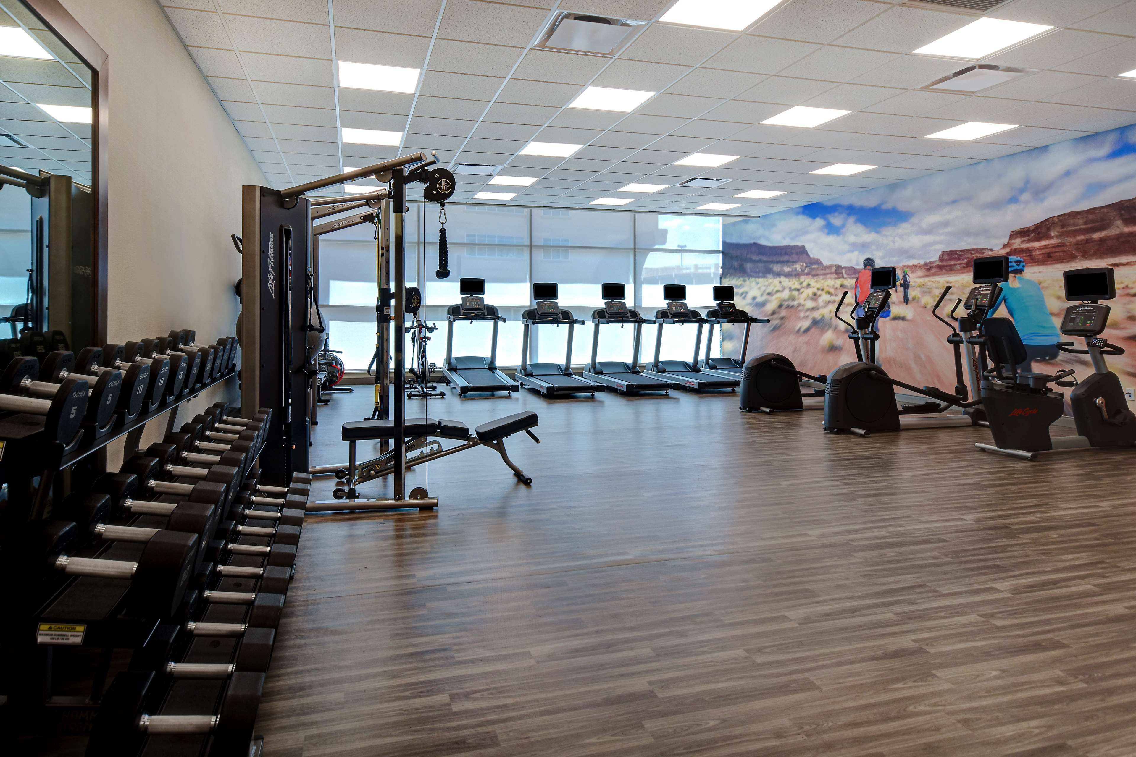 Health club  fitness center  gym