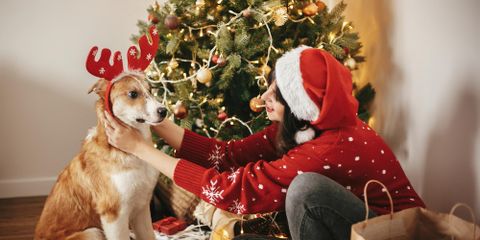 How to Protect Your Pets This Holiday Season