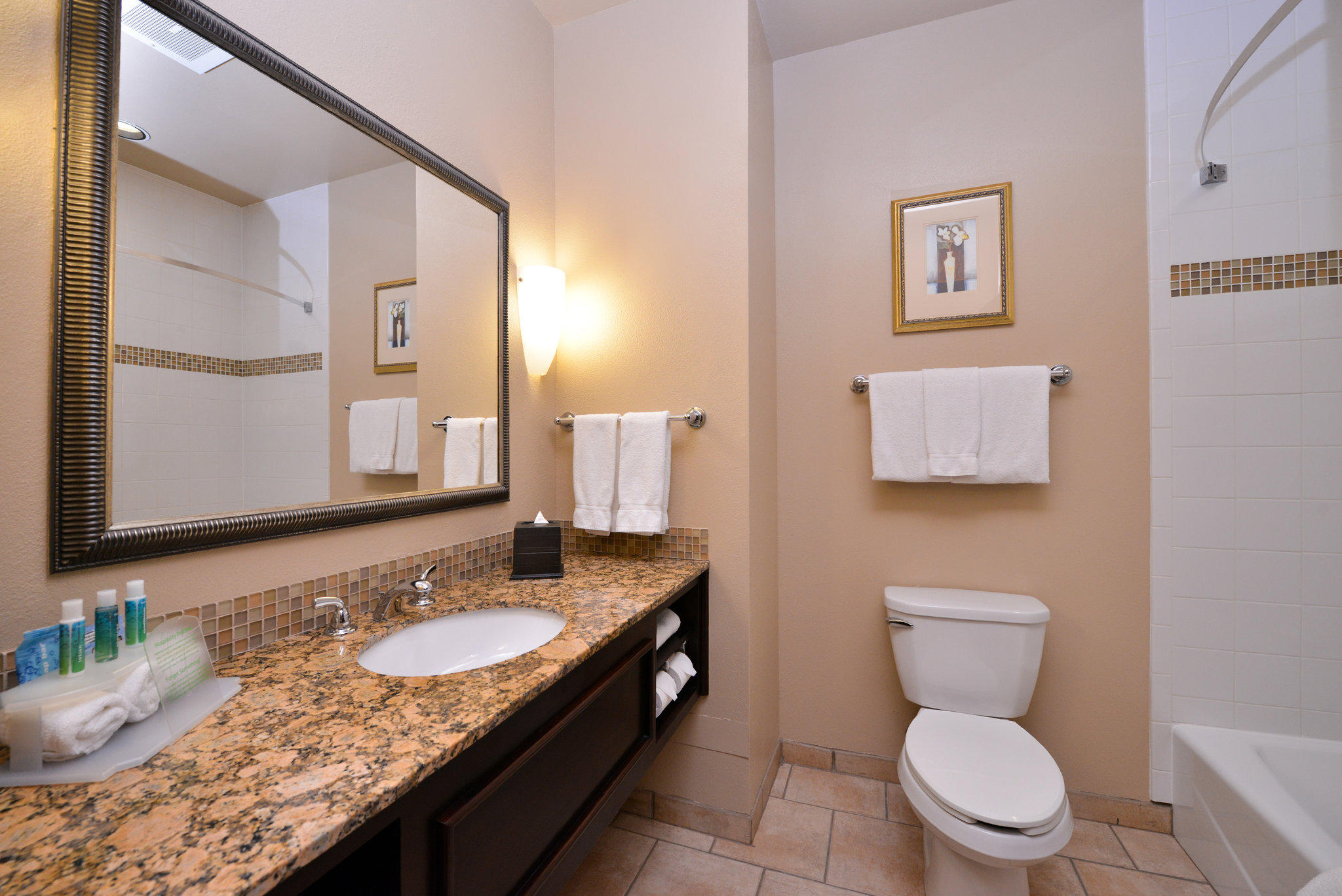 Holiday Inn Express & Suites Wichita Falls Photo