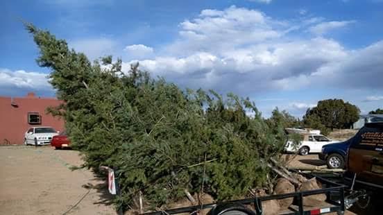 Santa Fe’s Finest Landscaping Image