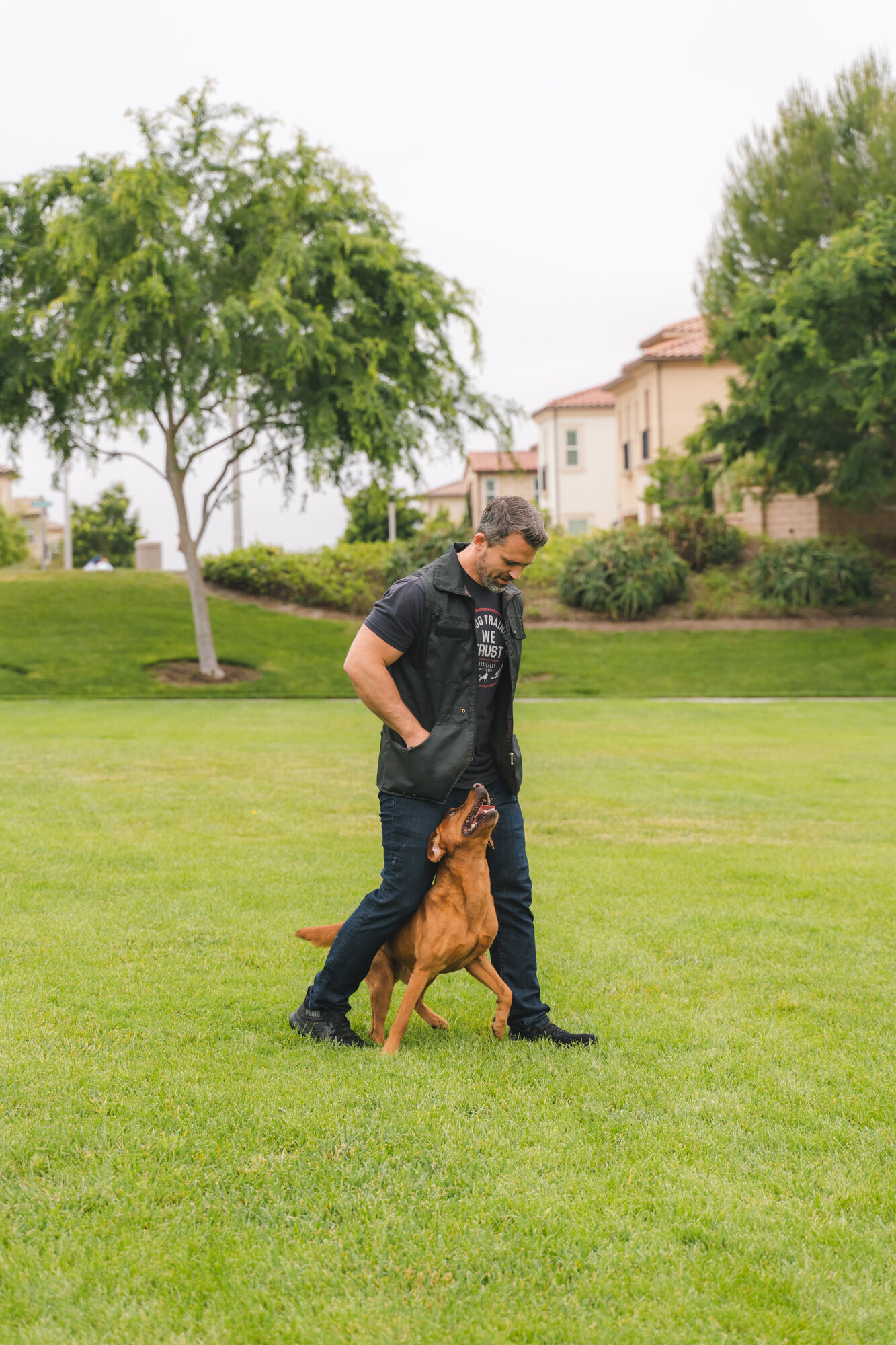 Nate Schoemer Dog Training Image