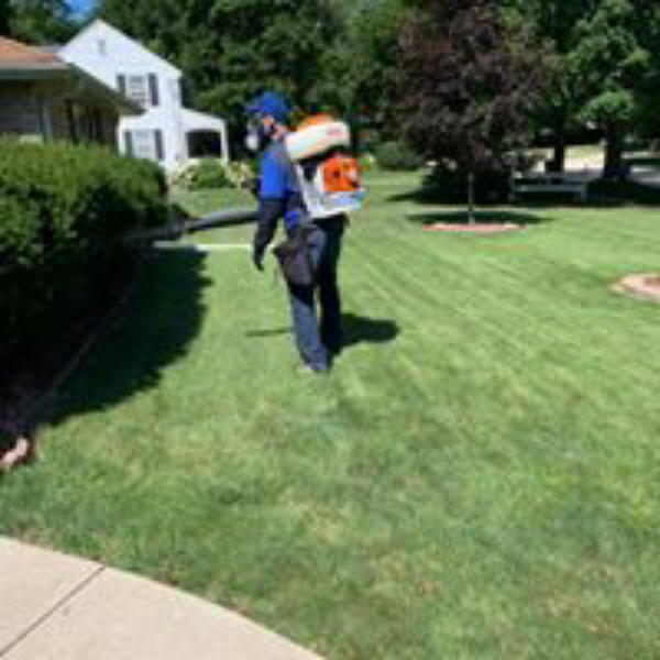 Ewert Pest Control Photo