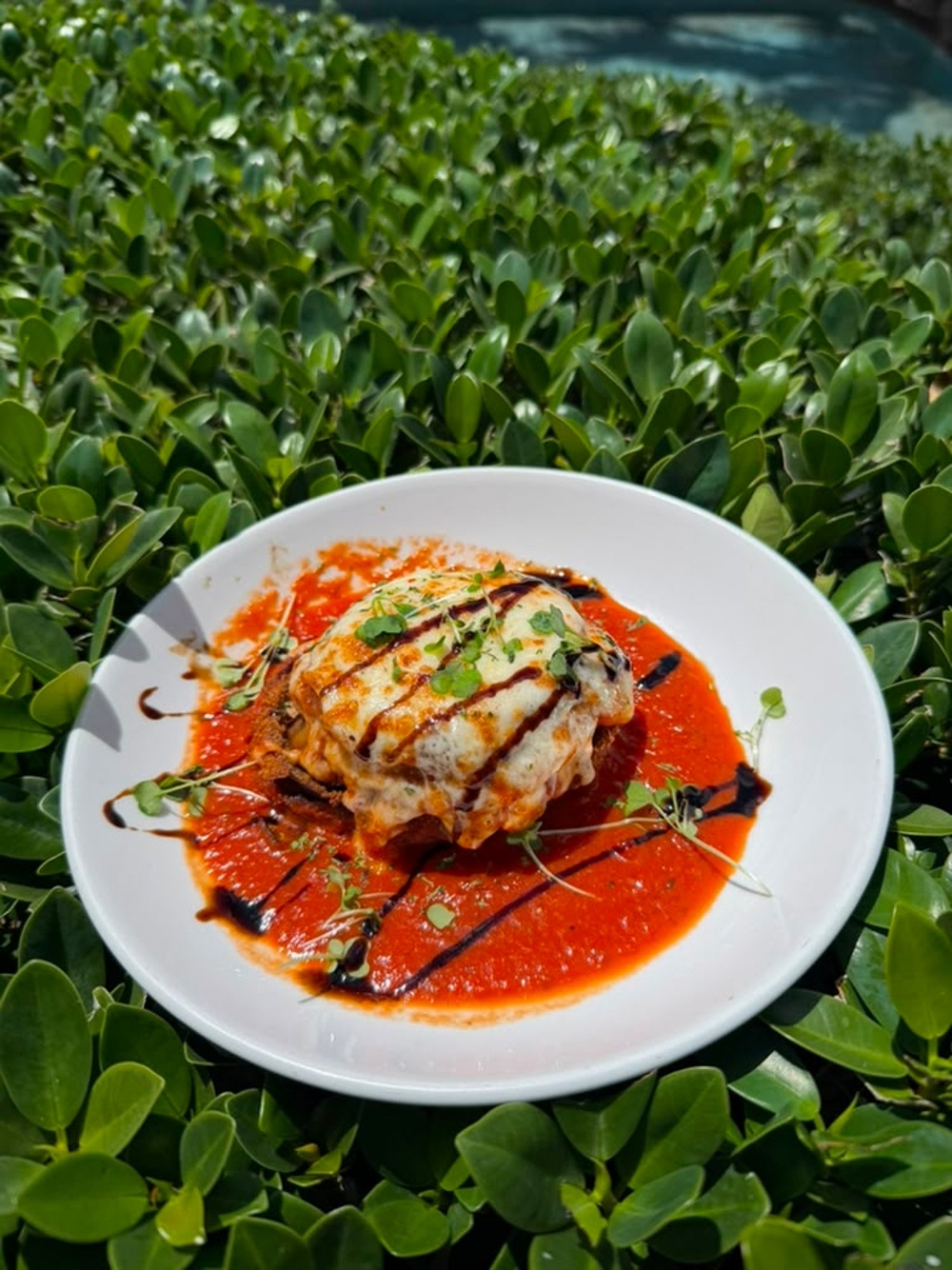 Eggplant Stack