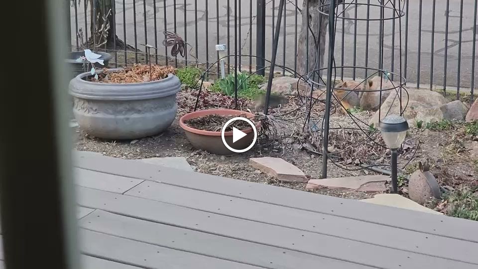 All Natural Pest Elimination Image