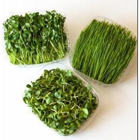 Local Greens Farm Logo