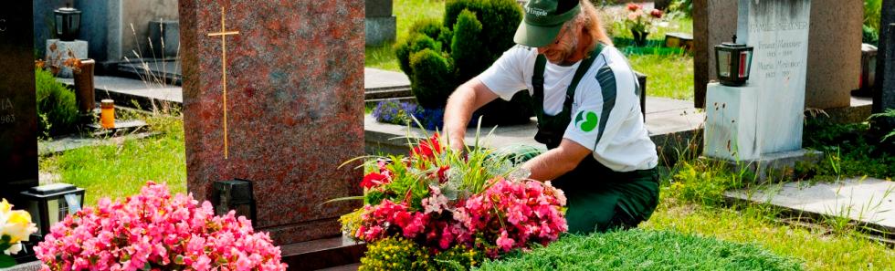 Bilder Blumen Engele - Inh Mario Marbler
