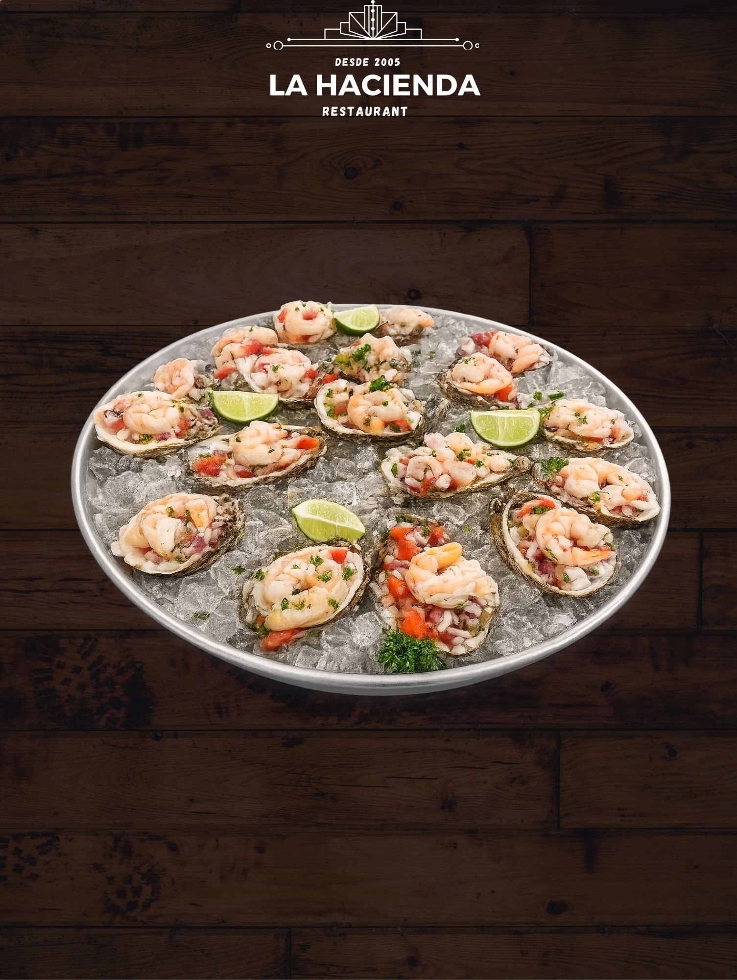 Oysters 1624