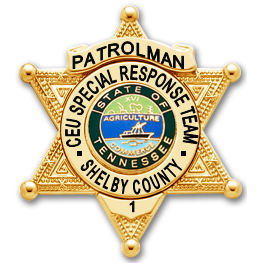 Cobra Services LLC Logo