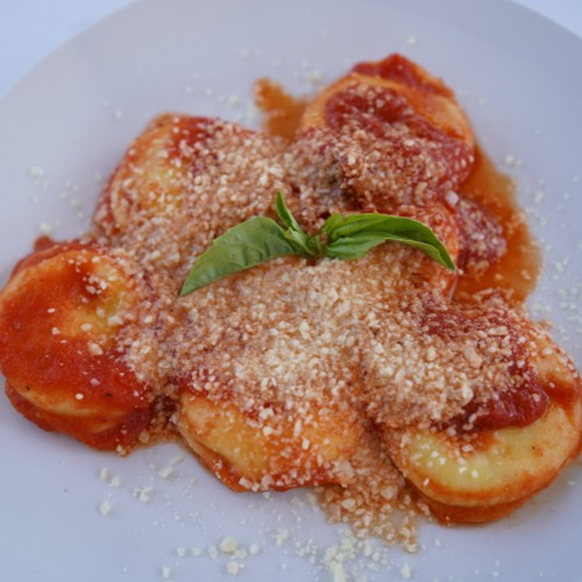 Jumbo Cheese Ravioli